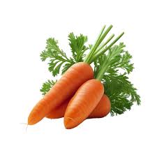 Carrot