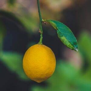 Buy Fresh Lemons Online – Juicy & Vitamin C Rich